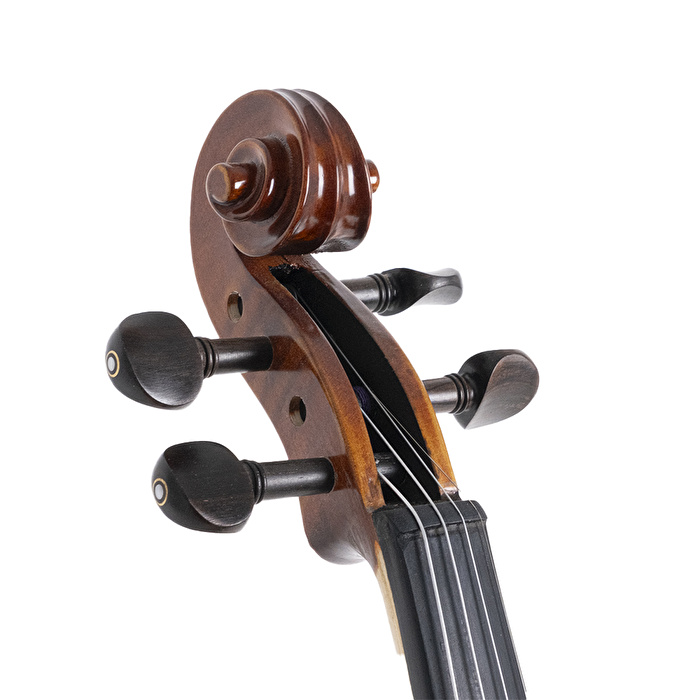 VANETTA VL-5 / 1/2 Masif Keman (Abanoz Burgu ve Aksam)